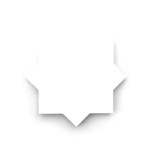 Hydraulic Tile with Star and Cross