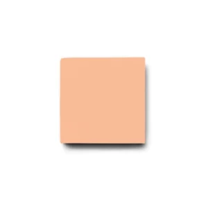 No. 10x10 Hydraulic Tile